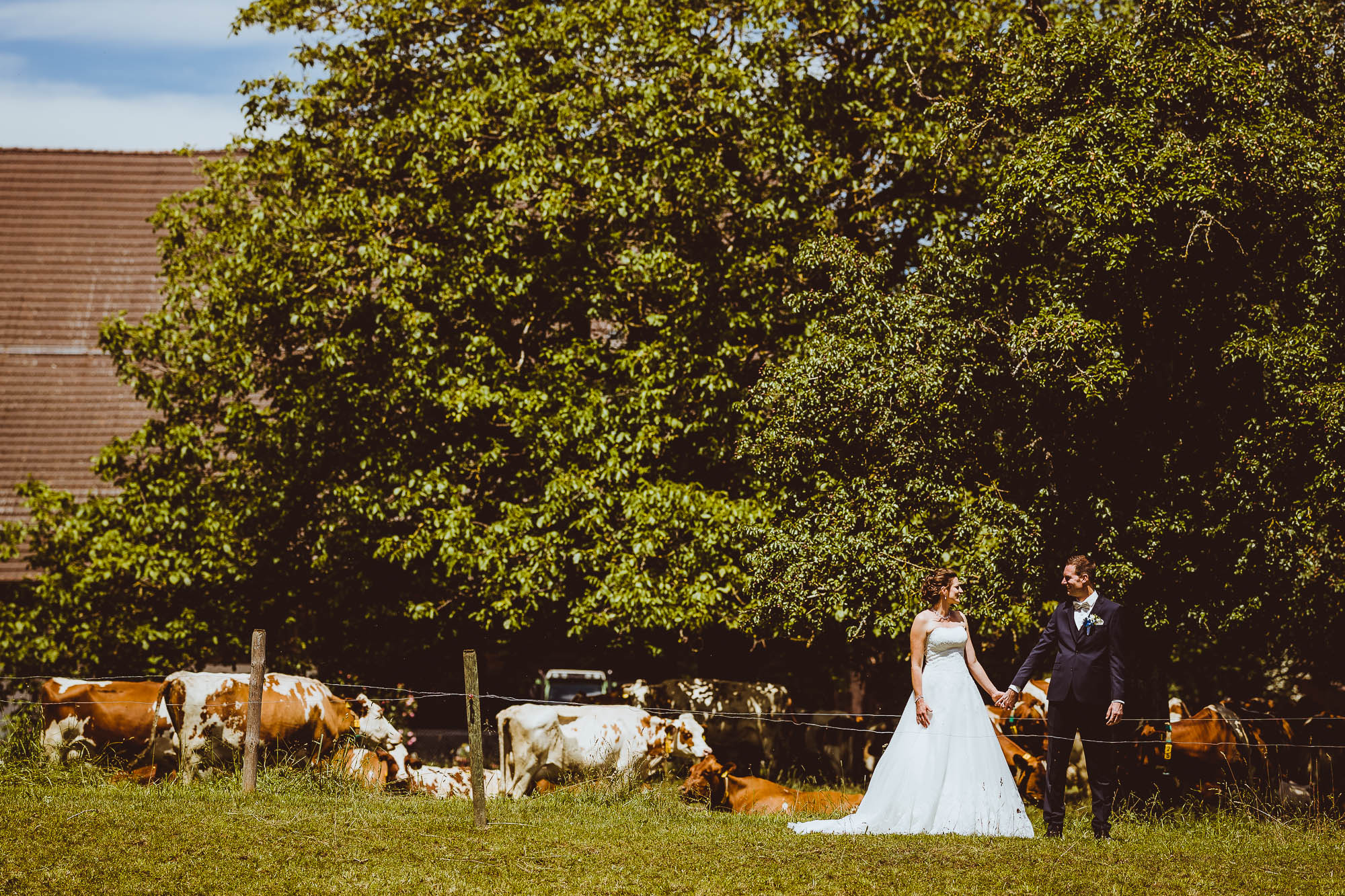 Export x3 1DX27507 Hochzeit 2020 Claudia & Marco 2